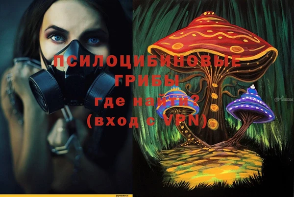 синтетический гашиш Алексин