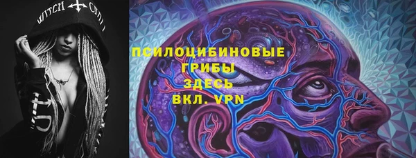 сатива Алексеевка